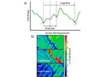 Automated Experiment Discovers Novel, Highly Responsive Domain Structure in Ferroelectrics