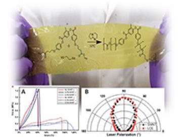 Carbon Nanotubes Provide "Muscle" to Polymers