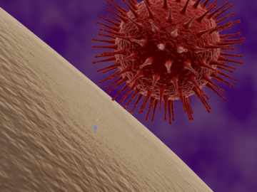 coronavirus