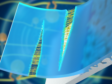 self-healing elastomers 