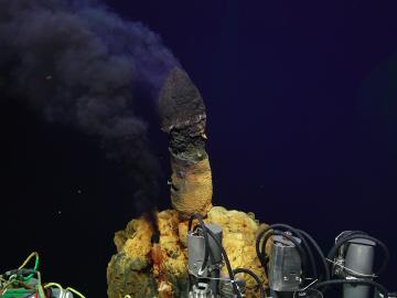 Deep-sea hydrothermal vent chimneys on Brother’s Volcano’s northwest caldera wall create a unique environment for microbes. Credit: Anna-Louise Reysenbach, NSF, ROV Jason and 2018 ©Woods Hole Oceanographic Institution