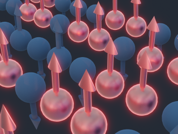 Spin chains in a quantum system undergo a collective twisting motion as the result of quasiparticles clustering together. Demonstrating this KPZ dynamics concept are pairs of neighboring spins, shown in red, pointing upward in contrast to their peers, in blue, which alternate directions. Credit: Michelle Lehman/ORNL, U.S. Dept. of Energy
