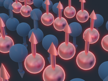 Spin chains in a quantum system undergo a collective twisting motion as the result of quasiparticles clustering together. Demonstrating this KPZ dynamics concept are pairs of neighboring spins, shown in red, pointing upward in contrast to their peers, in blue, which alternate directions. Credit: Michelle Lehman/ORNL, U.S. Dept. of Energy 