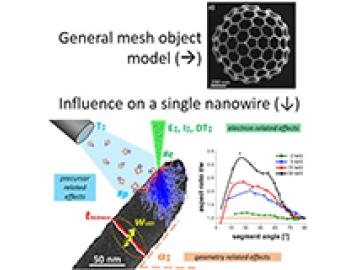 Shape Evolution and Growth Mechanisms of 3D-printed Nanowires