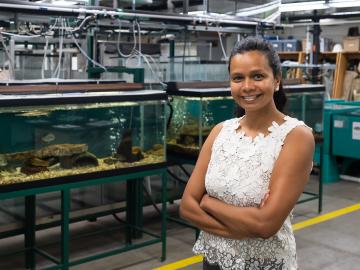 As the leader of ORNL’s Biodiversity and Ecosystem Health Group, environmental scientist Teresa Mathews works to understand the impacts of energy generation on water and solve challenging problems, including mercury pollution. Credit: Carlos Jones/ORNL, U.S. Dept. of Energy