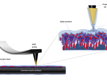 Researchers used an atomic force microscope to test how easily particles of the novel coronavirus cling to certain surfaces, a property known as adhesion energy. Credit: Ali Passian/ORNL, U.S. Dept. of Energy