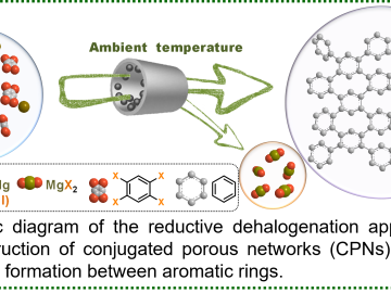 conjugated porous network