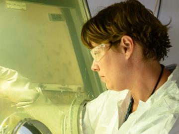 Radiochemist Shelley VanCleve works to purify an isotope using a glove box in ORNL’s Radiochemical Engineering Development Center. VanCleve was involved in the final purification of berkelium that led to the discovery of the new element 117, tennessine, in 2010. Credit: Carlos Jones/ORNL, U.S. Dept. of Energy