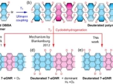 On-Surface Cyclodehydrogenation Reaction Pathway Determined by Selective Molecular Deuterations