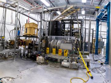 lab