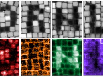 ORNL scientists used an electron beam for precision machining of nanoscale materials. Cubes were milled to change their shape and could also be removed from an array. Credit: Kevin Roccapriore/ORNL, U.S. Dept. of Energy
