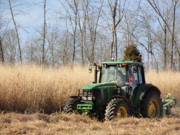 Biofuels, such as those derived from the switchgrass being harvested in this field in Vonore, Tennessee, are just one of the technology-based solutions that ORNL summit participants identified recently as key to decarbonizing the agriculture sector. Credit: Erin G. Webb, ORNL/U.S. Dept. of Energy.