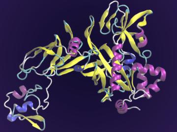 This protein drives key processes for sulfide use in many microorganisms that produce methane, including Thermosipho melanesiensis. Researchers used supercomputing and deep learning tools to predict its structure, which has eluded experimental methods such as crystallography.  Credit: Ada Sedova/ORNL, U.S. Dept. of Energy