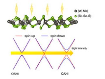 Shining Light on the Topology of 1T’ Transition Metal Dichalcogenides