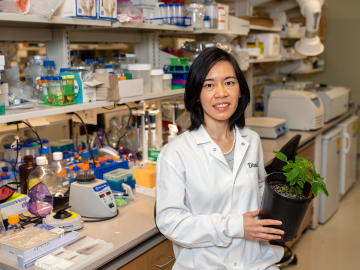 Chunliu Zhuo is a postdoctoral researcher at the University of North Texas BioDiscovery Institute. Credit: University of North Texas