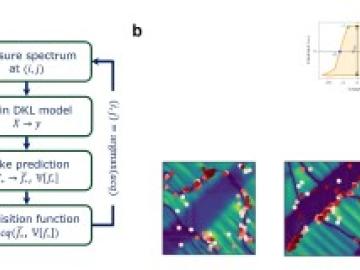 Experimental Discovery of Structure–Property Relationships in Ferroelectrics via Active Learning