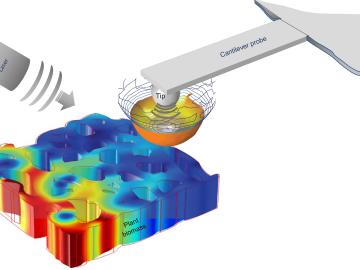 Scattering-type scanning near-field optical microscopy, a nondestructive technique in which the tip of the probe of a microscope scatters pulses of light to generate a picture of a sample, allowed the team to obtain insights into the composition of plant cell walls. Credit: Ali Passian/ORNL, U.S. Dept. of Energy 