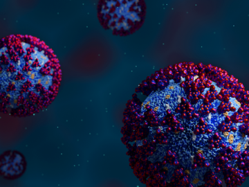 A team of researchers used mathematics to predict which areas of the SARS-CoV-2 spike protein are most likely to mutate. Credit: Jill Hemman/ORNL, U.S. Dept. of Energy