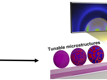 Naskar project webpage image