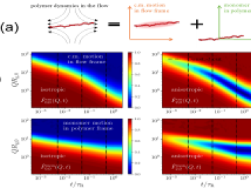 Fingerprinting Polymer Brownian Motions under Flow