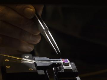 Quantum information scientists at ORNL hope to harness beams of light, or photons, as qubits for quantum networking. Credit: ORNL/Carlos Jones