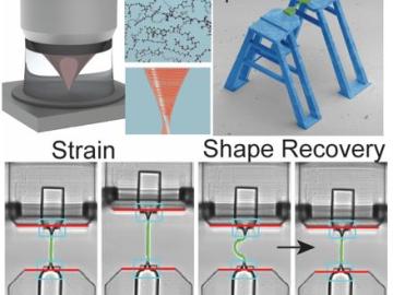 Shape Memory of Polymer Microfibers Fabricated from Two Photon Polymerization