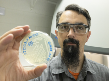 ORNL’s Adam Guss began adapting the SAGE gene editing tool to modify microbes in graduate school. Today, SAGE is rapidly accelerating the design of custom microbes for a variety of applications. Credit: Carlos Jones/ORNL, U.S. Dept. of Energy