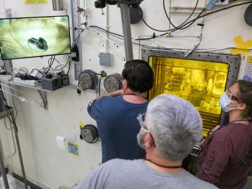David Denton, Lance Wyant (on manipulator) and Cassandra Fike-Hanley prepare irradiated thorium target segments for dissolution. That processing will separate out actinium-225, which will then be packaged for customers. Credit: Genevieve Martin/ORNL, U.S. Dept. of Energy