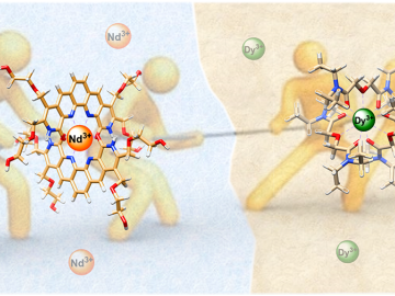 Researchers at Oak Ridge National Laboratory discovered a tug-of-war strategy to enhance chemical separations needed to recover critical materials. Credit: Alex Ivanov/ORNL, U.S. Dept. of Energy