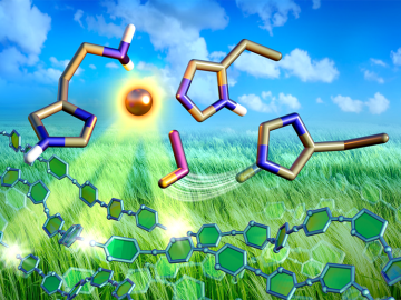 Neutron scattering experiments at the Spallation Neutron Source revealed how the dynamics between copper and oxygen make a special type of enzyme excel at breaking down biomass. Insights could lead to lowering the cost of biofuel production. Credit: Jill Hemman/ORNL, U.S. Dept. of Energy