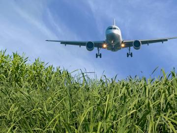 Airplane over a field of switchgrass