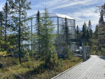 Enclosure at SPRUCE site in Minnesota