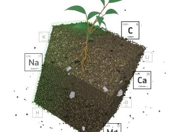  Illustration of a laser-based analytical method to accelerate understanding of critical plant and soil properties with the aim of co-optimizing bioenergy plant growth and soil carbon storage