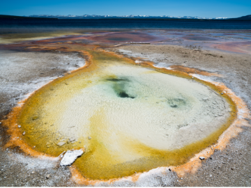 Scientists conducted microbial DNA sampling at a Yellowstone National Park hot spring for a study sponsored by DOE’s Biological and Environmental Research program, the National Science Foundation and NASA. Credit: Mircea Podar/ORNL, U.S. Dept. of Energy 