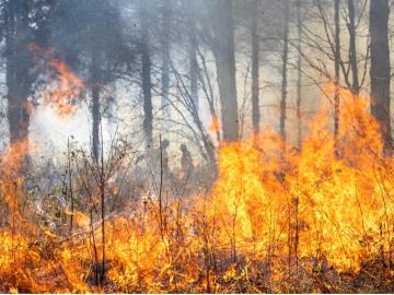Researchers used the open-source Community Earth System Model to simulate the effects that extreme climatic conditions have on processes like land carbon storage. Credit: Carlos Jones/ORNL, U.S. Dept. of Energy