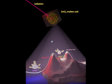 When exposed to radiation, electrons produced within molten zinc chloride, or ZnCl2, can be observed in three distinct singly occupied molecular orbital states, plus a more diffuse, delocalized state. Credit: Hung H. Nguyen/University of Iowa