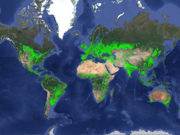 : ORNL climate modeling expertise contributed to an AI-backed model that assesses global emissions of ammonia from croplands now and in a warmer future, while identifying mitigation strategies. This map highlights croplands around the world. Credit: U.S. Geological Survey 