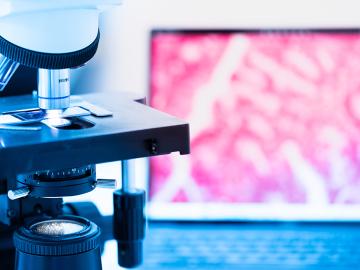 Microscope with tissue sample on display