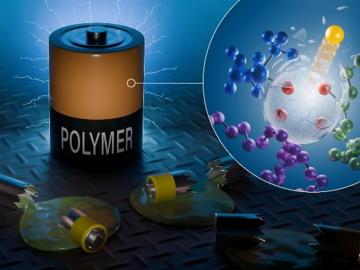 An international team using neutrons set the first benchmark (one nanosecond) for a polymer-electrolyte and lithium-salt mixture. Findings could produce safer, more powerful lithium batteries. Credit: Phoenix Pleasant/ORNL