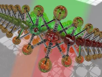 Surprisingly, changing isotope masses of molybdenum in a single layer of semiconductor molybdenum disulfide was found to shift the color of light emitted when the layer was illuminated. The study revealed the potential of isotope engineering to design new technologies in 2D materials. Credit: Chris Rouleau/ORNL, U.S. Dept. of Energy