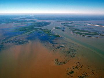 Arial view of the Atchafalaya Basin