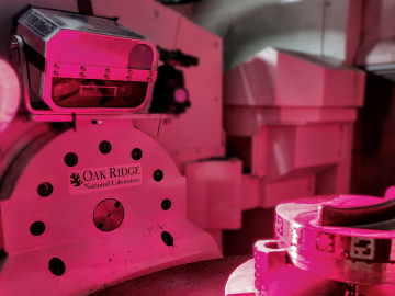 In-situ Digital Image Correlation and Thermal Imaging in Directed Energy Deposition