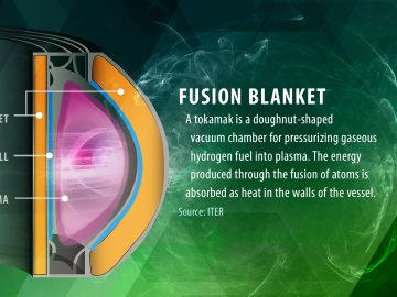 Tokamak graphic