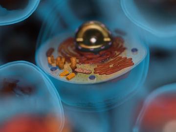 Illustration of a hydrogen atom.