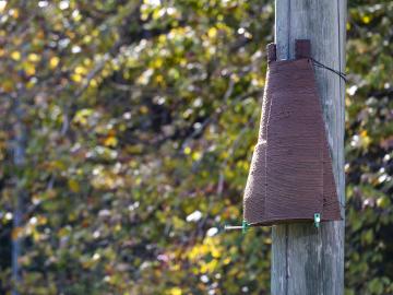 Pictured is a 3D printed roosting structure for bats. 