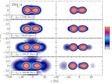 The left/right columns show a time series of the neutron/proton number densities in log scale for a typical fission trajectory. The bar relates the color to the decimal logarithm of the number density. 