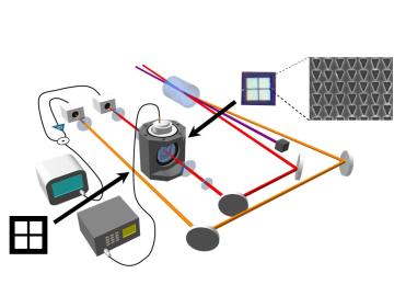 An image depicting the process of parallel quantum-enhanced sensing