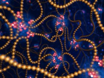 Scientists used neutron scattering to study how tweaking the ionic clusters in ionizable polymer solutions affects their structure. The polymer building blocks are marked in gold and the ionizable groups in red. Findings could open doors to lighter, more efficient clean energy devices. Credit: Phoenix Pleasant/ORNL, U.S. Dept. of Energy