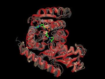 Graphic representation of ai model that identifies proteins