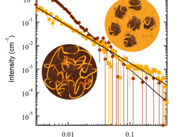 SANS of a lignin – homogalacturonan (pectin) composite at the contrast match points for pectin